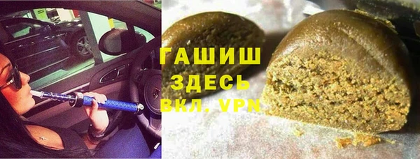 прущие грибы Абаза