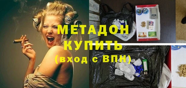 прущие грибы Абаза