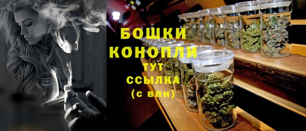 прущие грибы Абаза