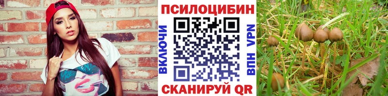 omg рабочий сайт  Рыльск  Псилоцибиновые грибы ЛСД  купить наркоту 