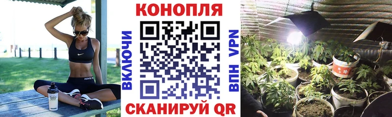 Шишки марихуана White Widow  Рыльск 